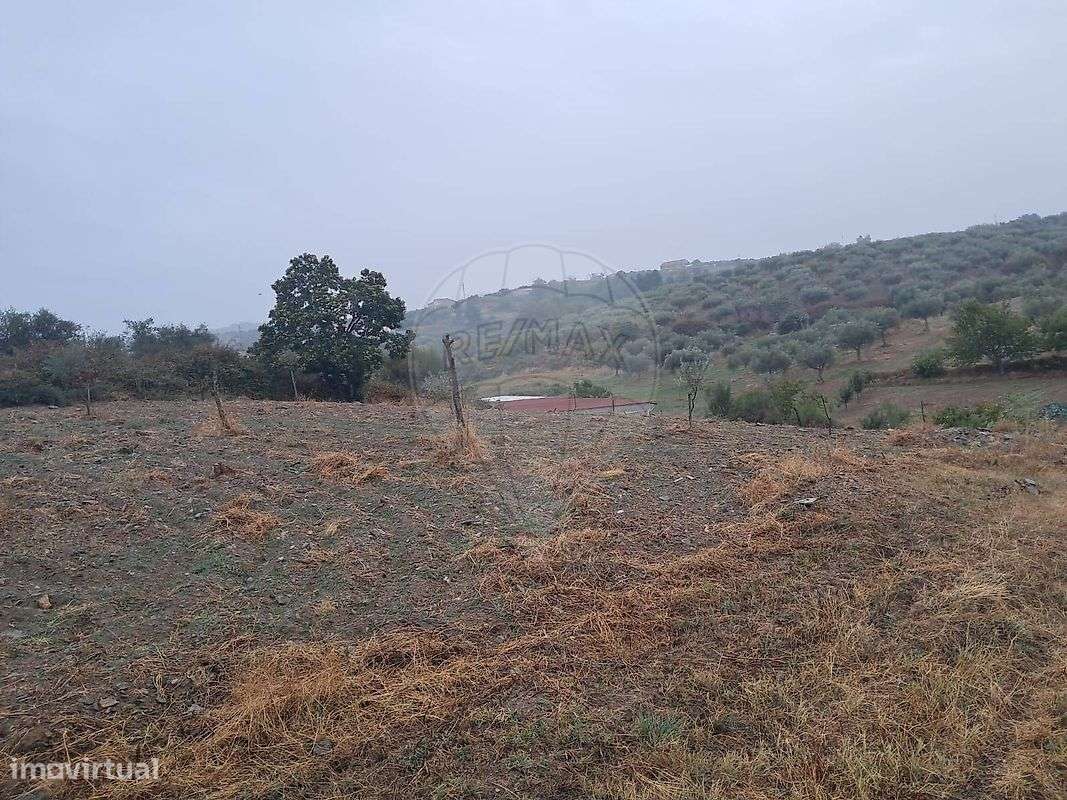 Terreno  para venda - Grande imagem: 5/8