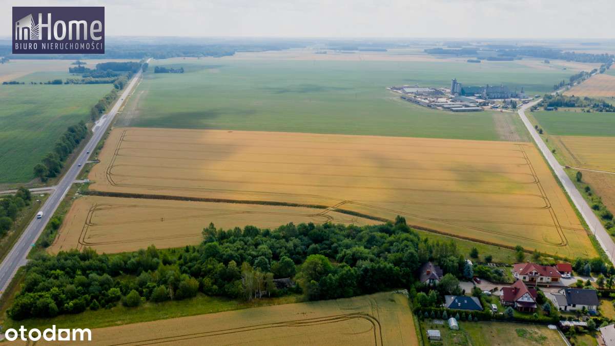 Działka inwestycyjna Bielsk Podlaski - 71500 m2! - Pełny obrazek: 4/12