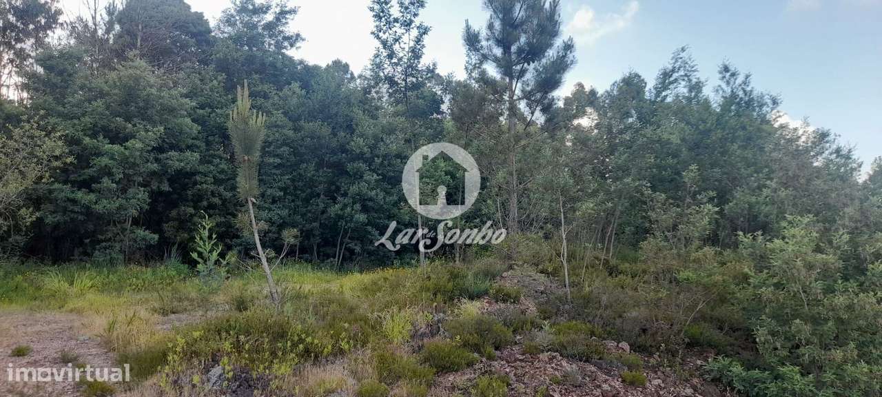 Terreno Industrial COM 20.000m2 - Trofa - Grande imagem: 5/33