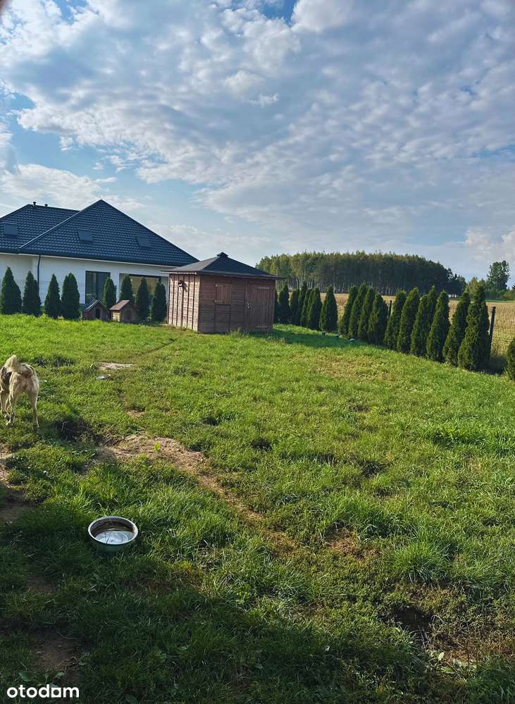 Komfortowy, parterowy DOM w Anusinie na sprzedaż ! ! !-19