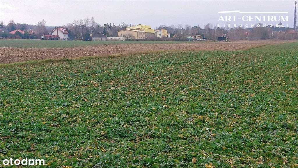 Działka Ciechocinek-3