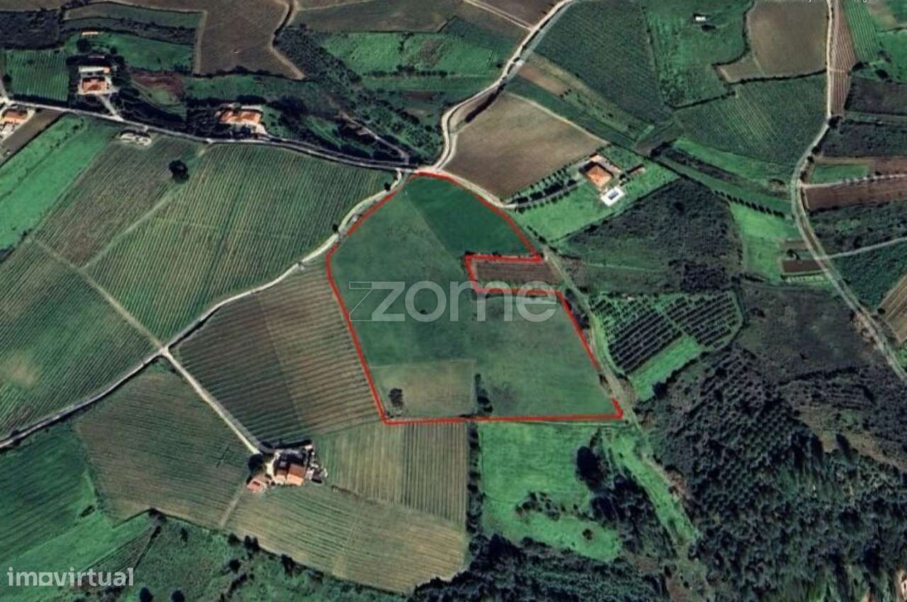 Terreno rústico em Lugar dos Carneiros, Ribafria, Alenquer - Grande imagem: 4/9