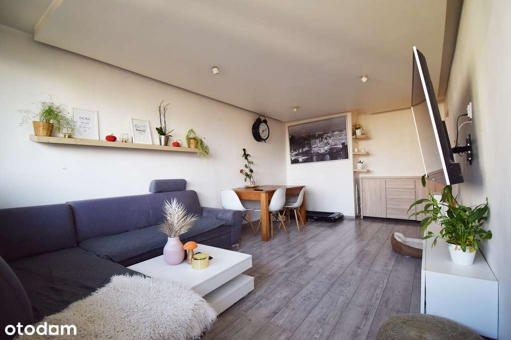 Wygodne 3 pokoje w Katowicach Tysiąclecie-2