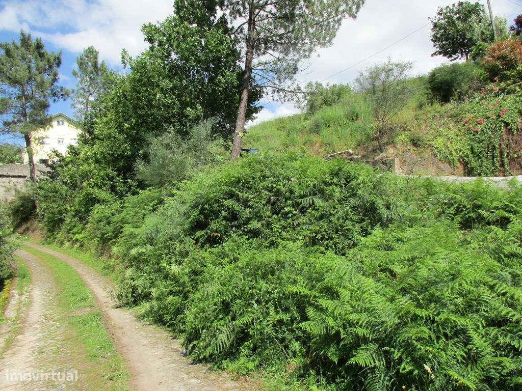 Terreno perto do centro de Ponte de Lima - Grande imagem: 4/4