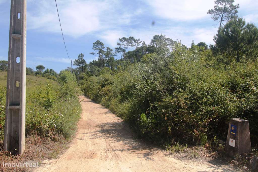 Excelente Terreno para Construção em Pousada, Cernache | Coimbra | Por - Grande imagem: 3/14