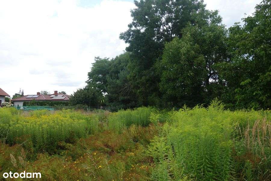 Spalice / Budowlana / Zaciszne Miejsce - Pełny obrazek: 5/8