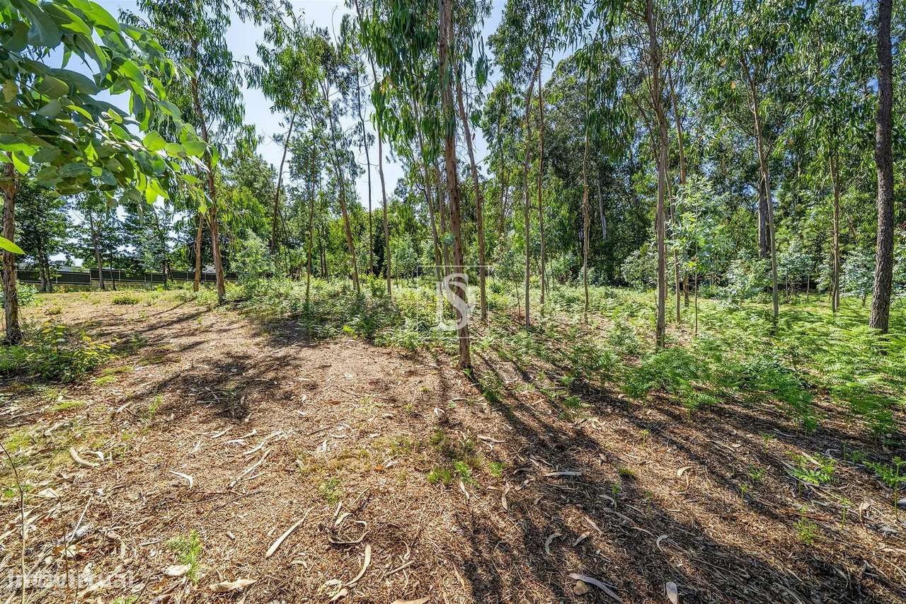 Terreno misto com potencial de construção em Barcelos-17