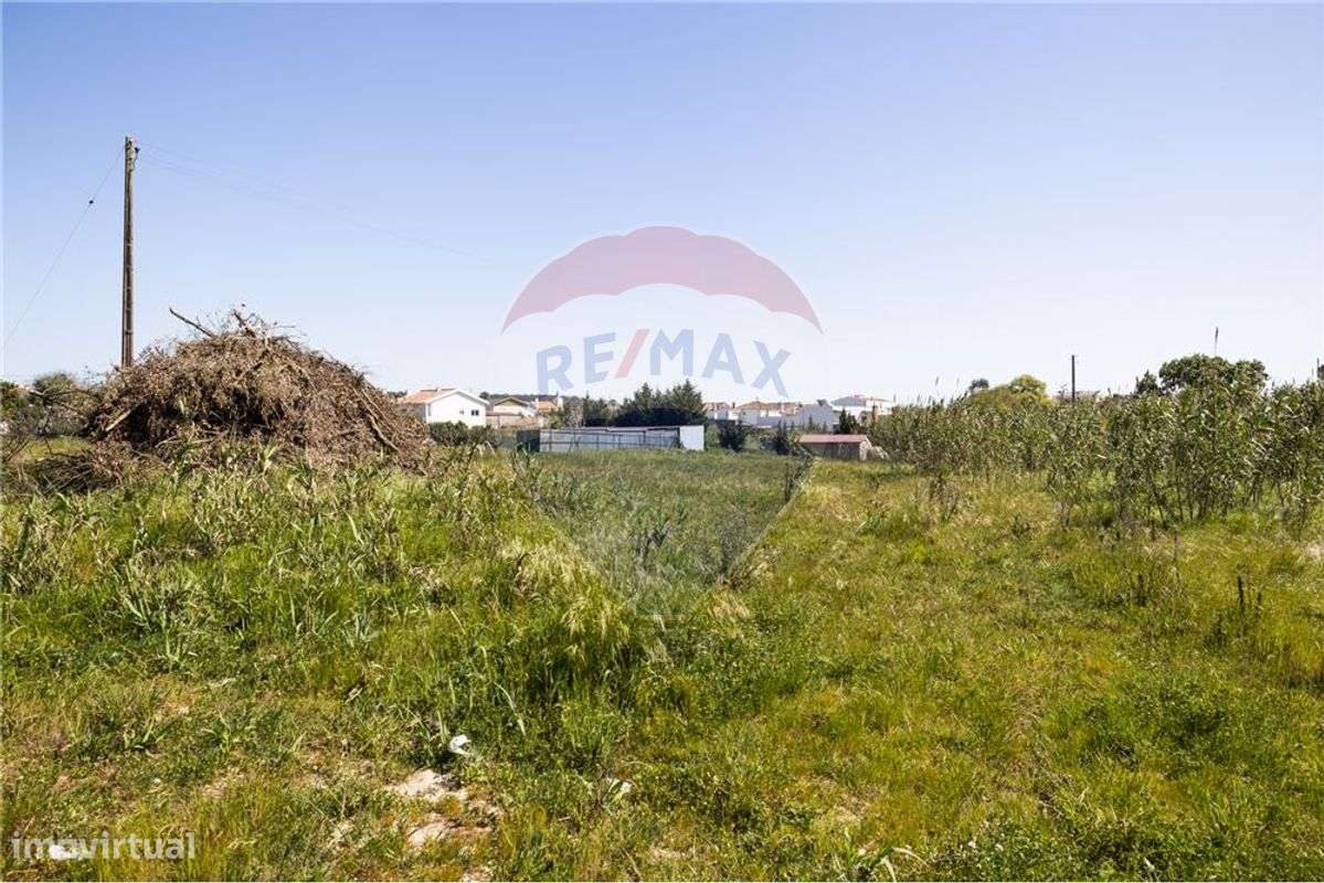 Industrial T0 para venda - Grande imagem: 5/11