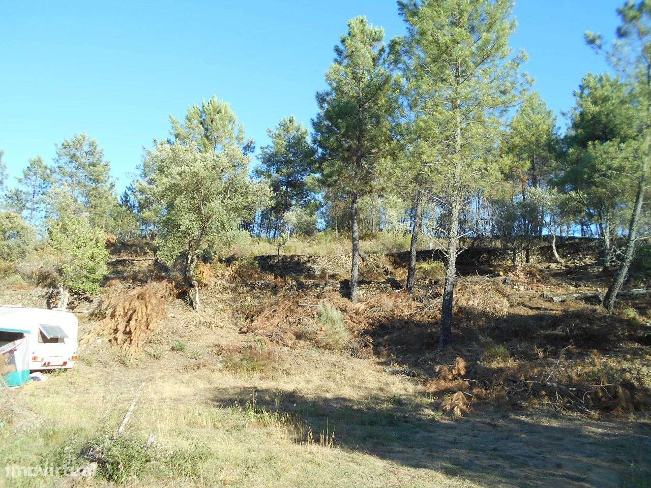 Quinta - Grande imagem: 3/7