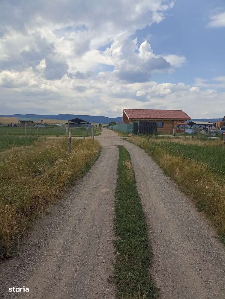 De vânzare teren extravilane în Sfântu Gheorghe - Imagine principală: 4/8