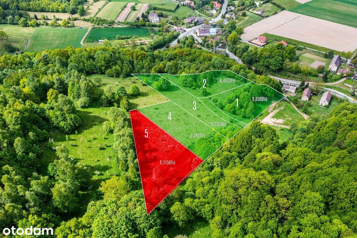 Działki w Laskach, Złoty Stok Cisza, las, relaks. - Pełny obrazek: 4/8