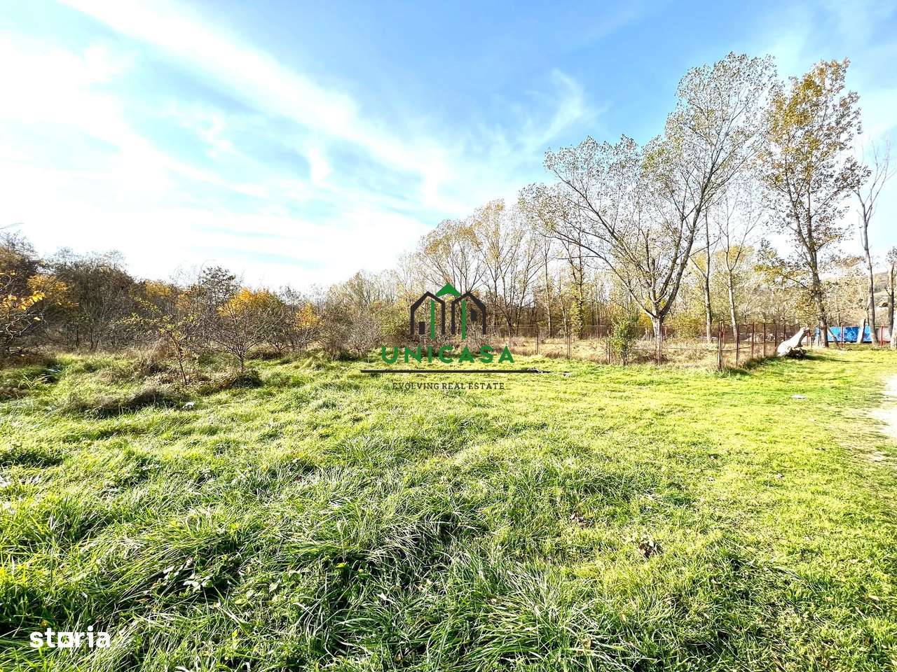 Teren Dem Radulescu 1092mp - Imagine principală: 4/4