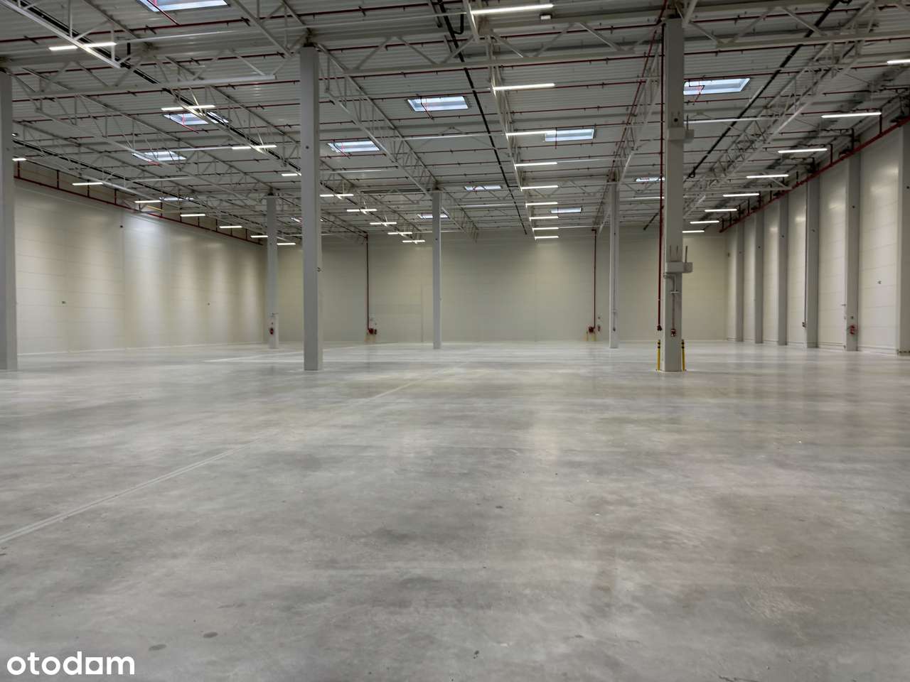 Magazyn A-klasowy na wynajem w Bydgoszczy / 2 400 m2 - Pełny obrazek: 4/4