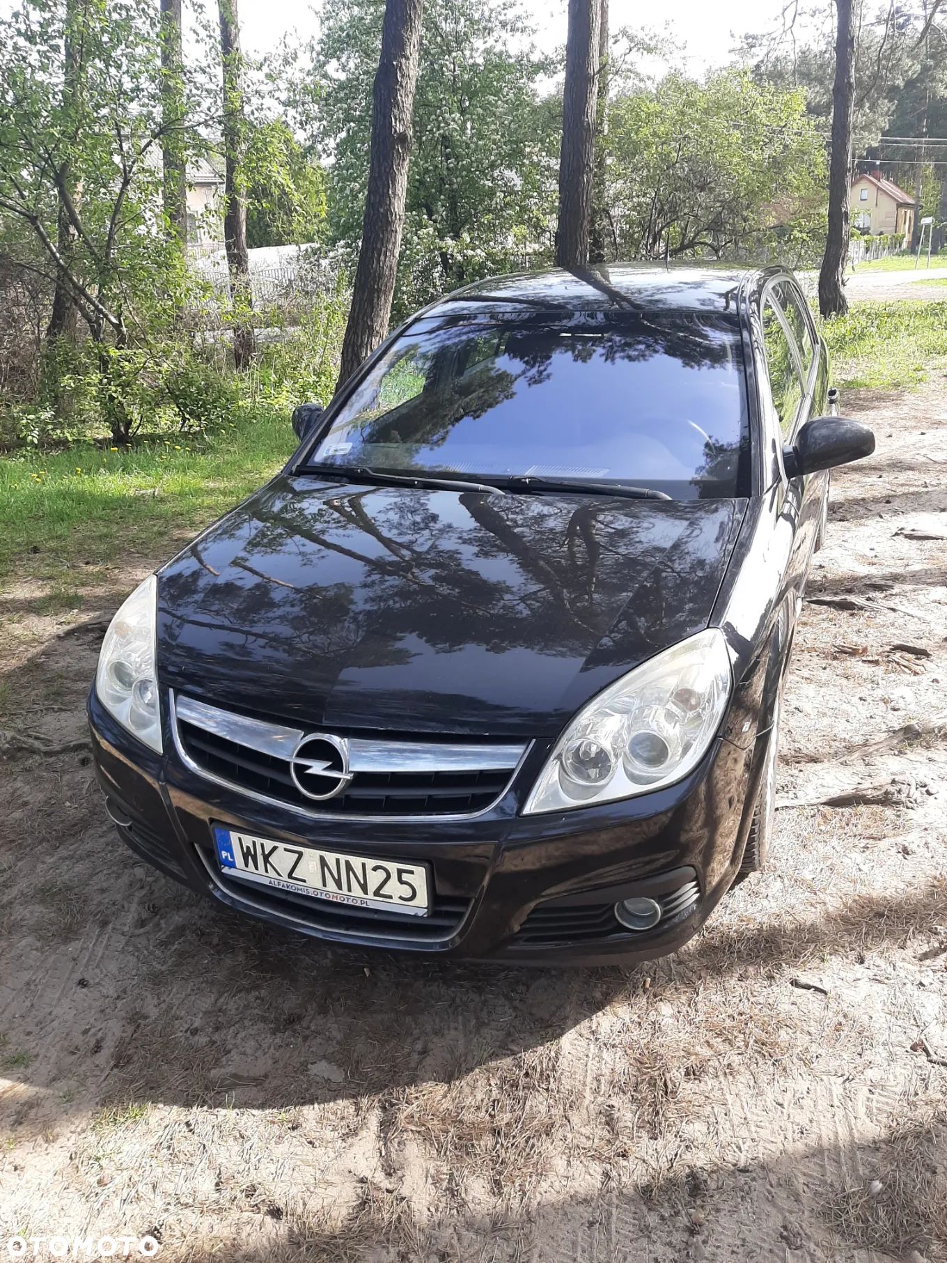 Opel Signum - 1