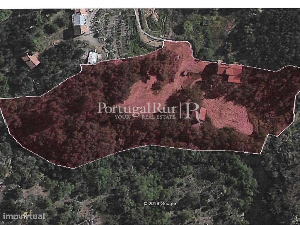 Quinta Rural 8.000 m2 - 2 Casas Habitáveis - confina com Ribeira-32