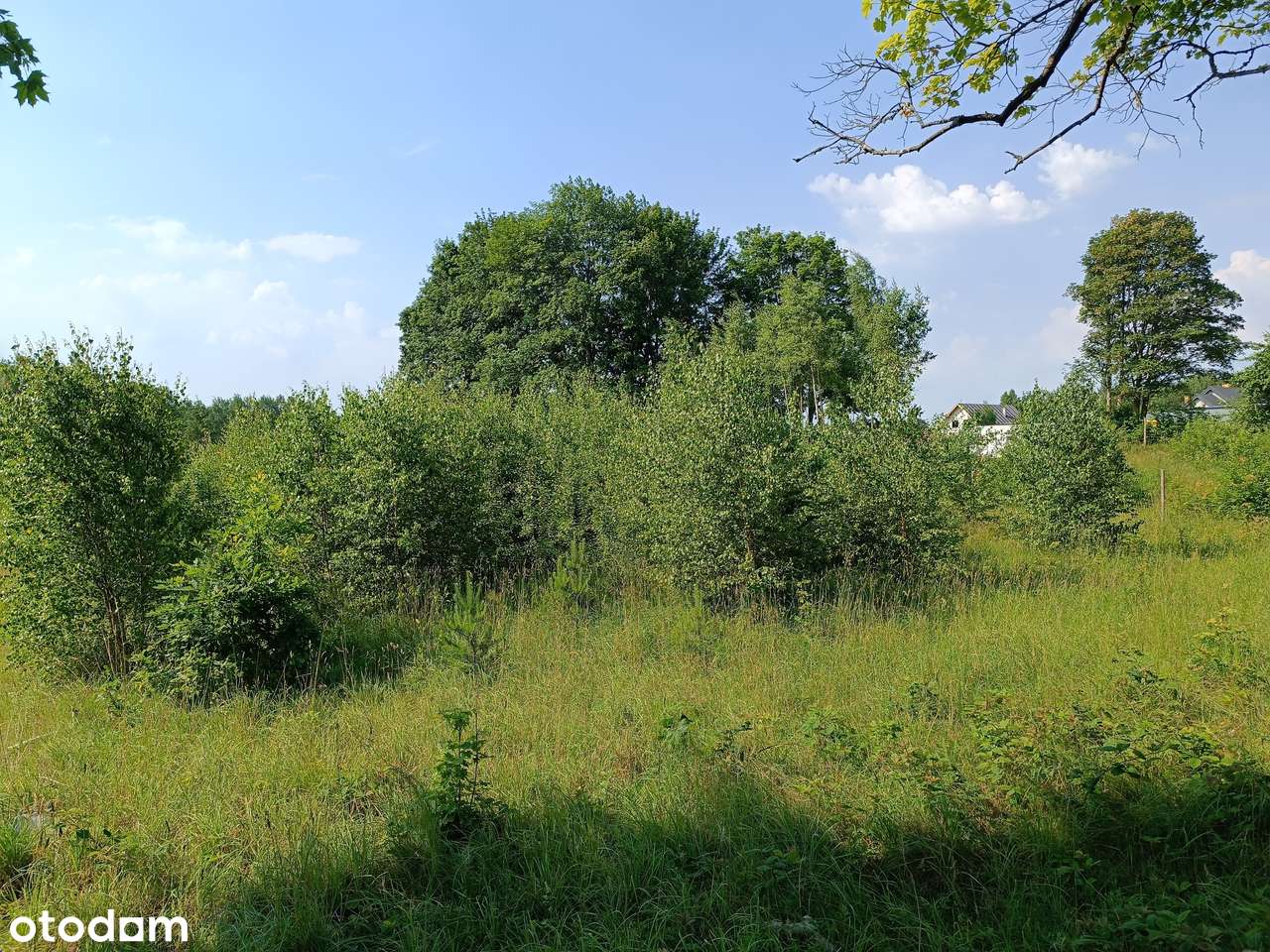 Leśniewo k. Pucka - Szkoła 500m, Sklep 750m - Pełny obrazek: 5/7