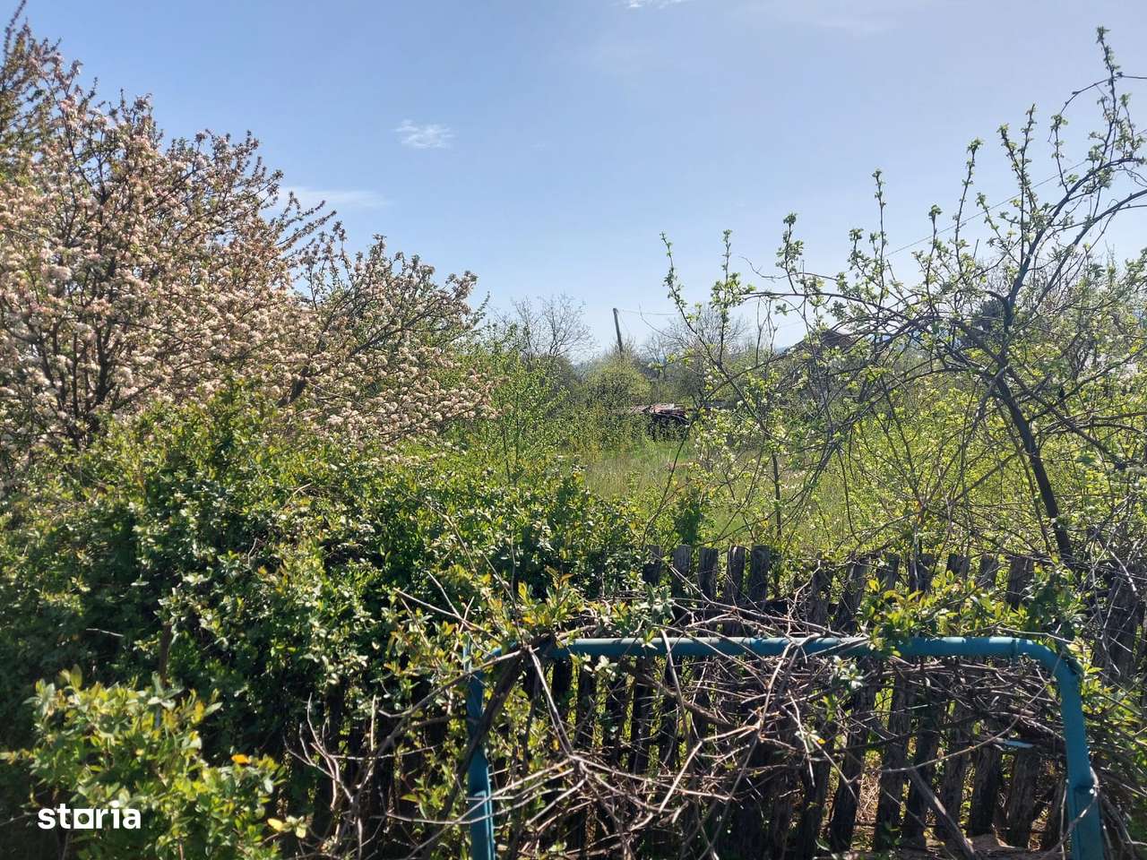 Teren centru Miroslava, langa Aauchan, intre case, toate utilitatile-8