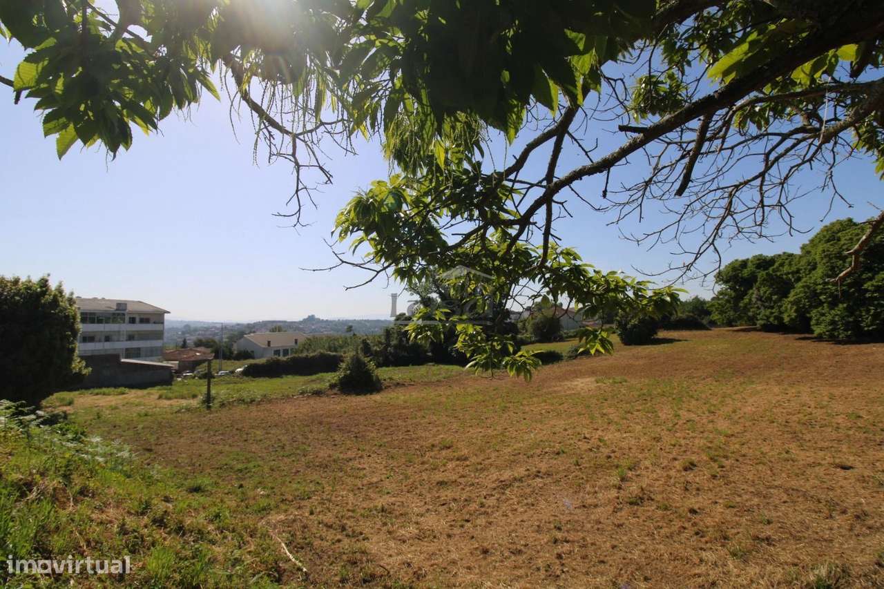Terreno com 7.813 m² no Centro de Oliveira do Douro | Vila Nova de ...-0
