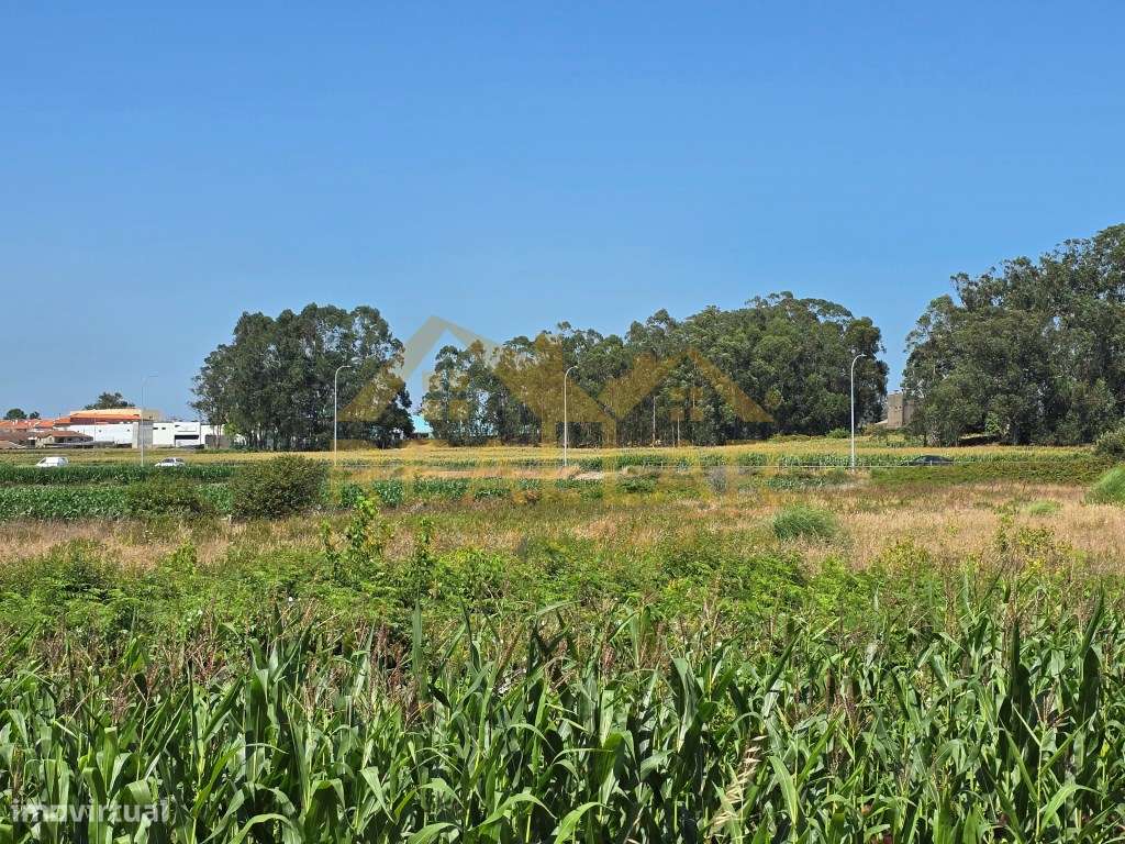 Excelente Oportunidade de Investimento: Terreno para Construção em ...-6
