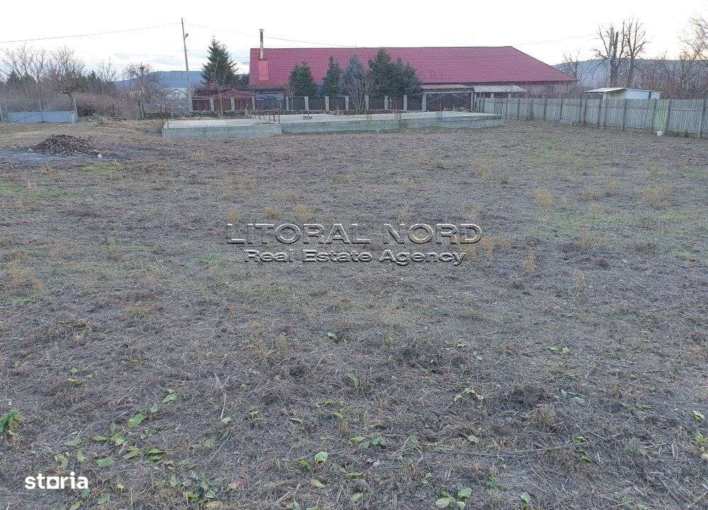 Exclusivitate - Crucea, teren 1.000mp,cu fundatie P+M, proiect si aut. - Imagine principală: 4/9