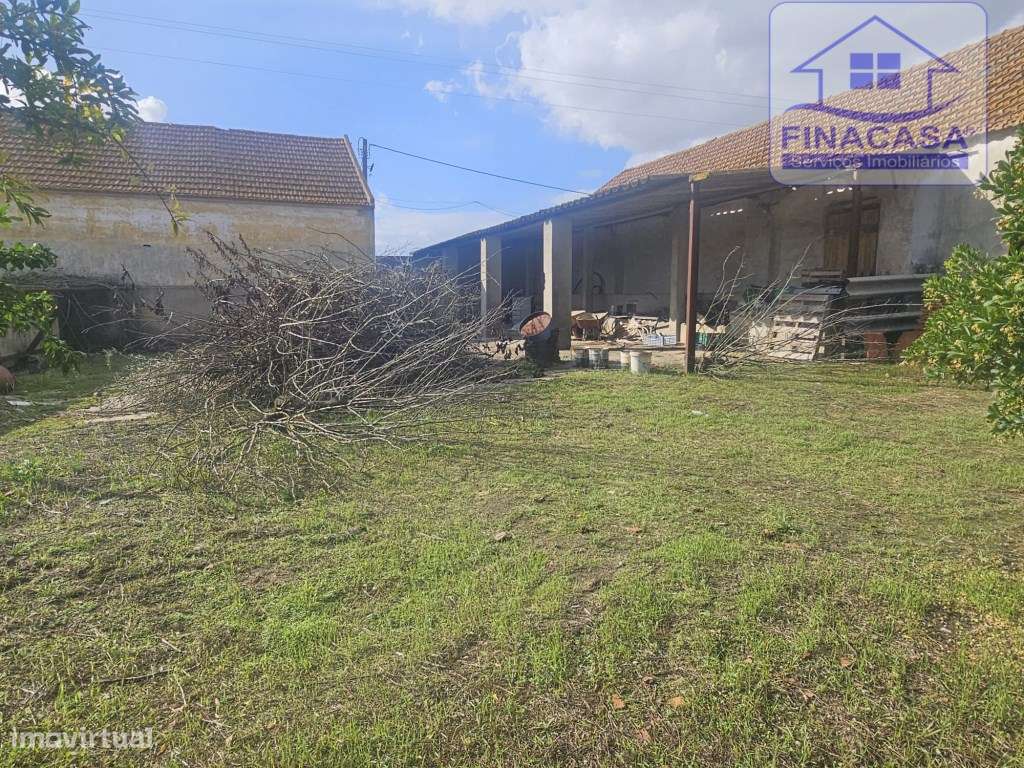 EXCLUSIVO - Quinta com 2069 m2, T1 e um armazém - Asseiceira(Palmela)-38