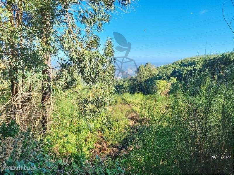 Terreno rústico com ruina em Alferce - Grande imagem: 3/21