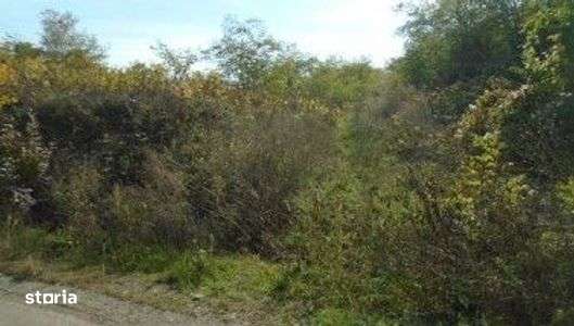 Teren extravilan  Tamboesti    ; ID: R2832805-6