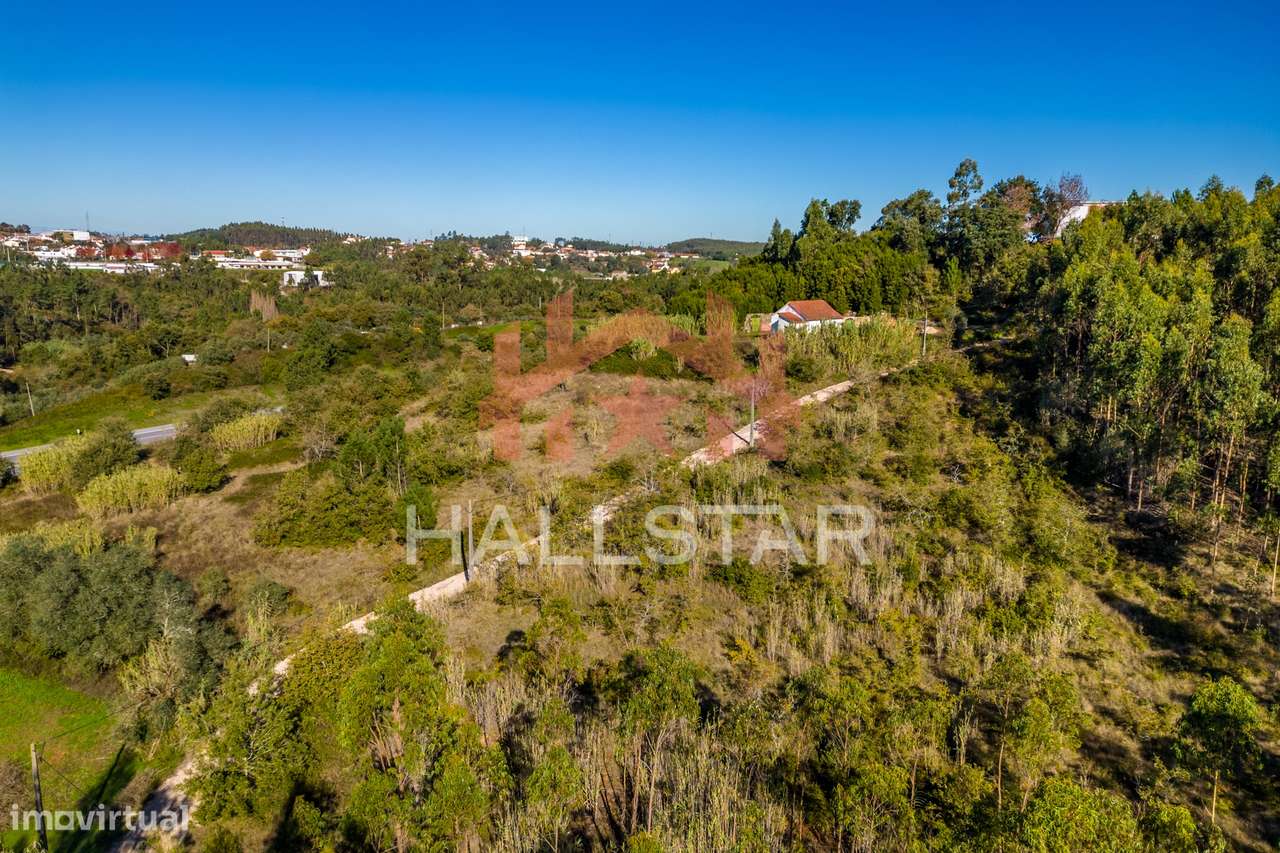 Quinta T3 em Remodelação / Terreno com 9.323m2 / Boa Vista-24