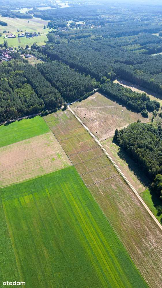 Wymarzone miejsce na letni dom niedaleko Warszawy-2