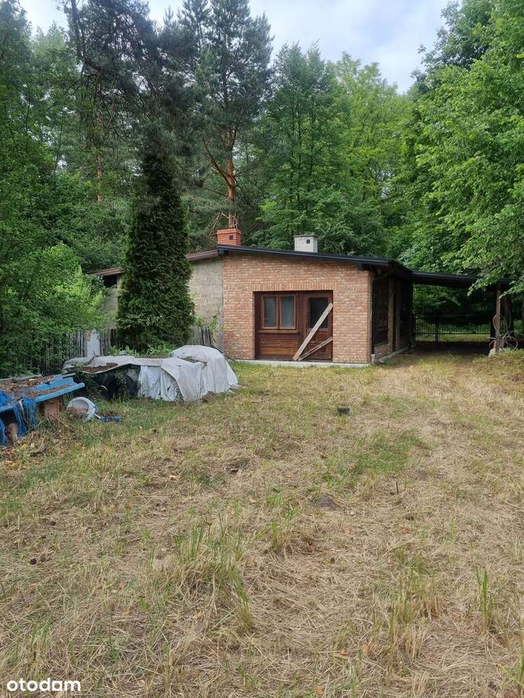 Dom do wykończenia. Barycz. - Pełny obrazek: 5/20