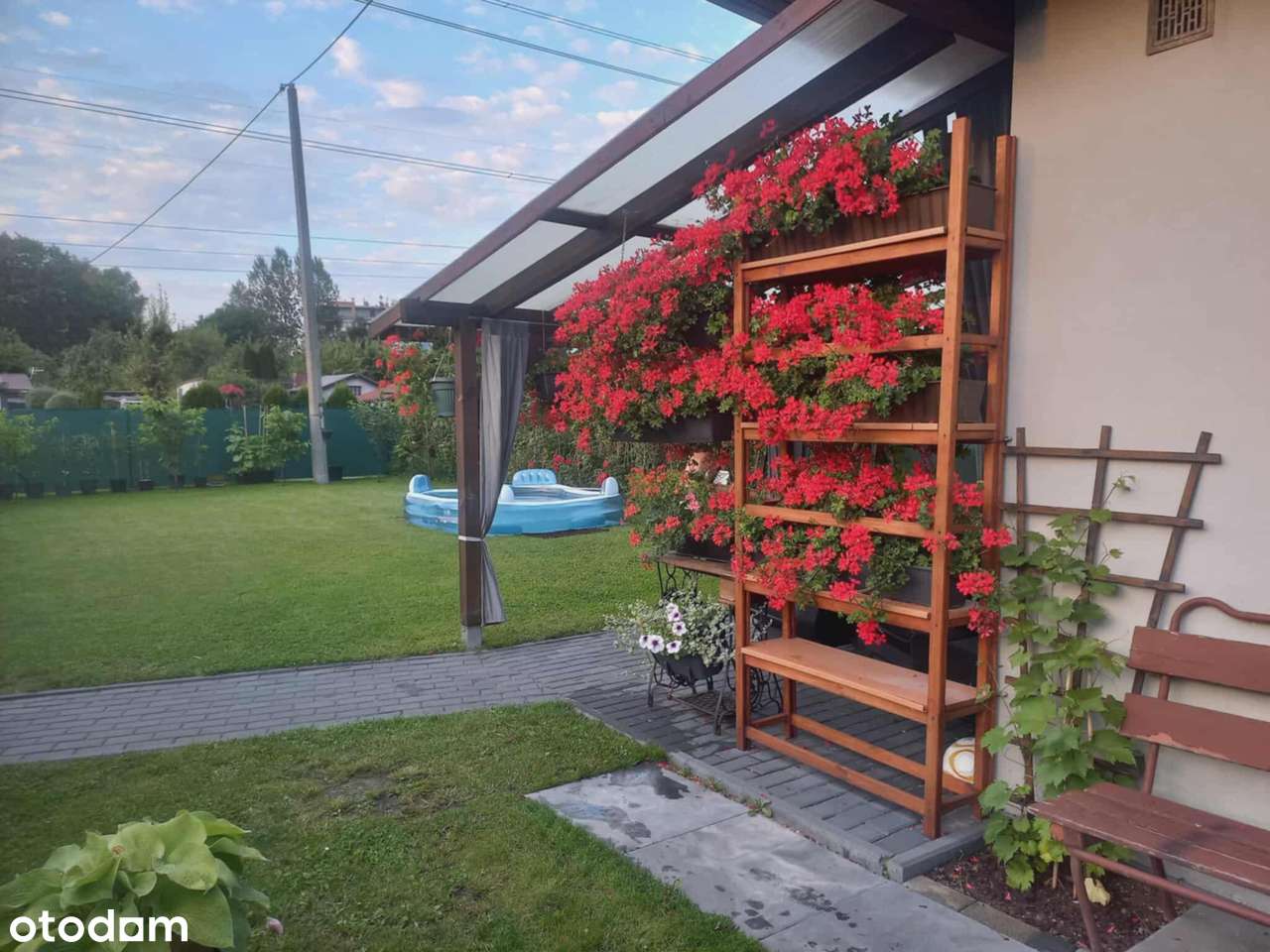 Sprzedam ogródek działkowy ROD „Zacisze” – po generalnym remoncie! - Pełny obrazek: 4/11