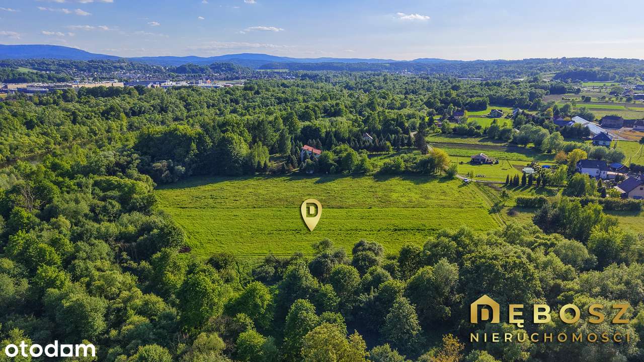 Niezdów / ok. Dobczyce | Piękna działka w zielonym zagajniku - 67 ar ! - Pełny obrazek: 5/13