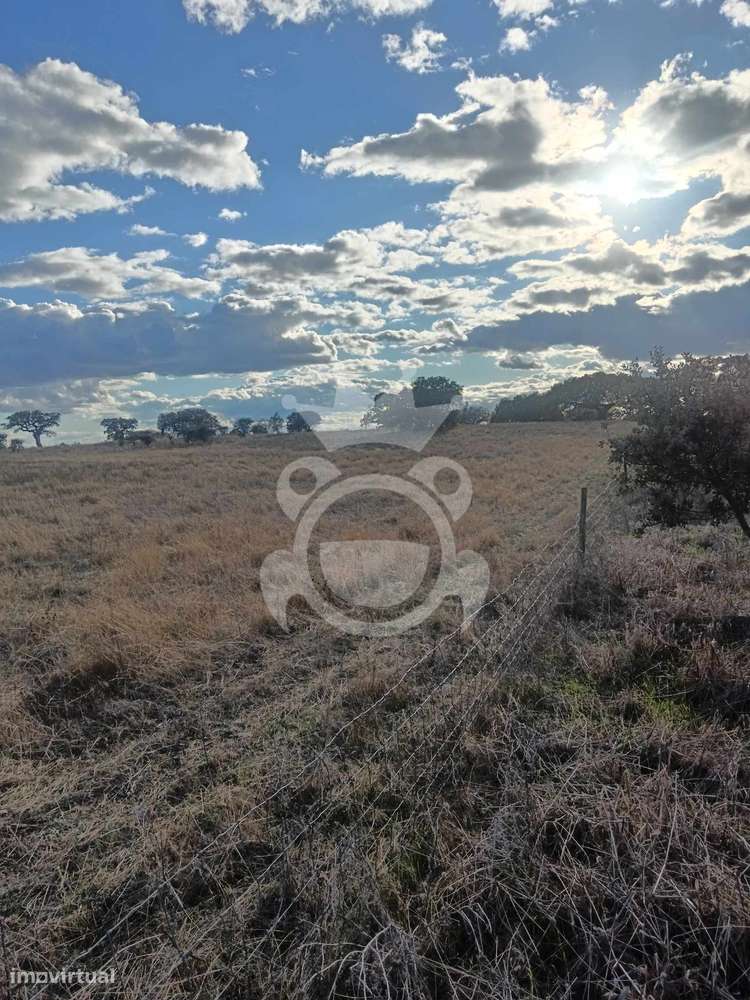 Terreno Rustico com possibilidade de construção - Grande imagem: 3/30