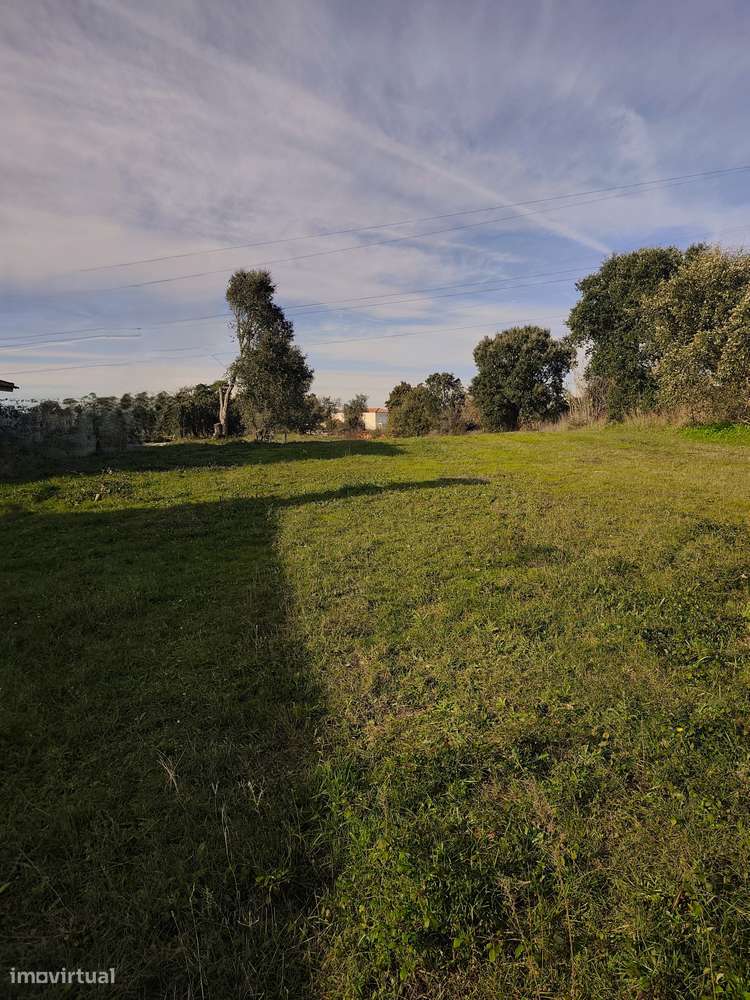 Terreno com 4300m² em Arzila - Grande imagem: 4/6