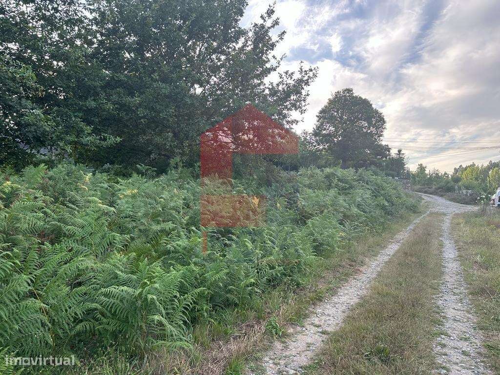 Terreno construção, Loureira - Grande imagem: 5/9