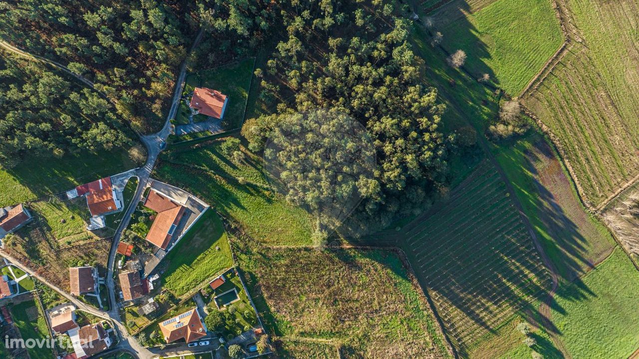 Terreno  para venda