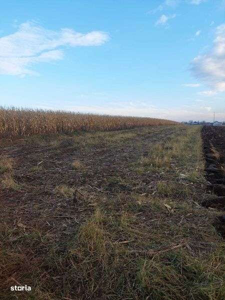 Vand teren intravilan situat in localitatea Bosanci, 30 ari - Imagine principală: 5/8