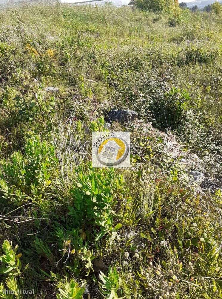 Vende-se Lotes Terreno em Olival - Grande imagem: 5/7