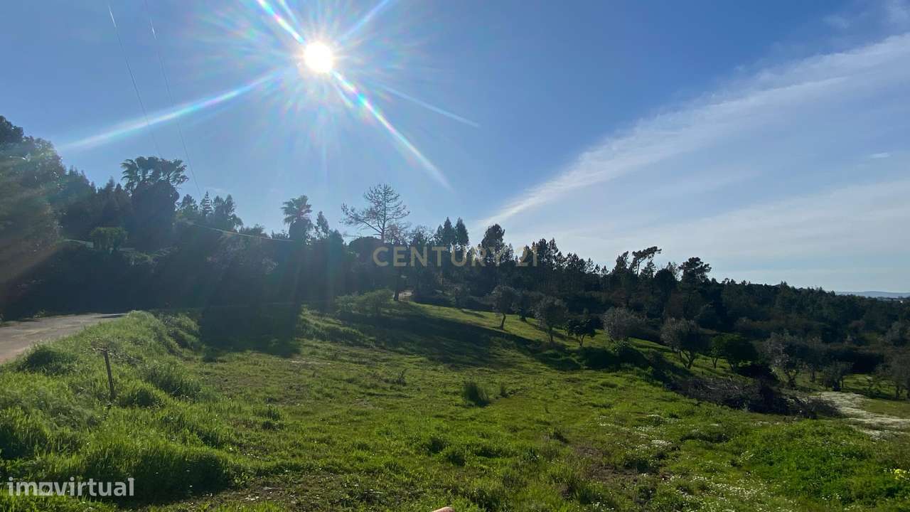 Terreno para construção – a 15 minutos de Tomar e do Entroncamento (Li - Grande imagem: 2/19