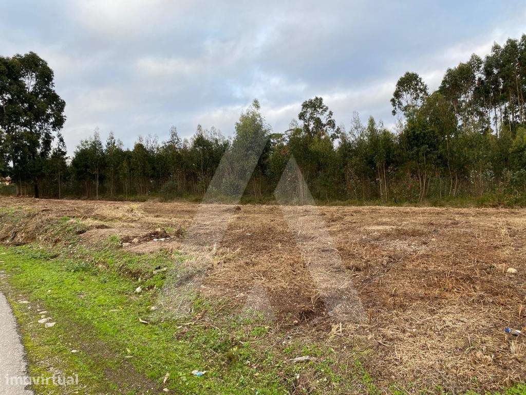 Terreno situado em Eirol - Grande imagem: 5/9