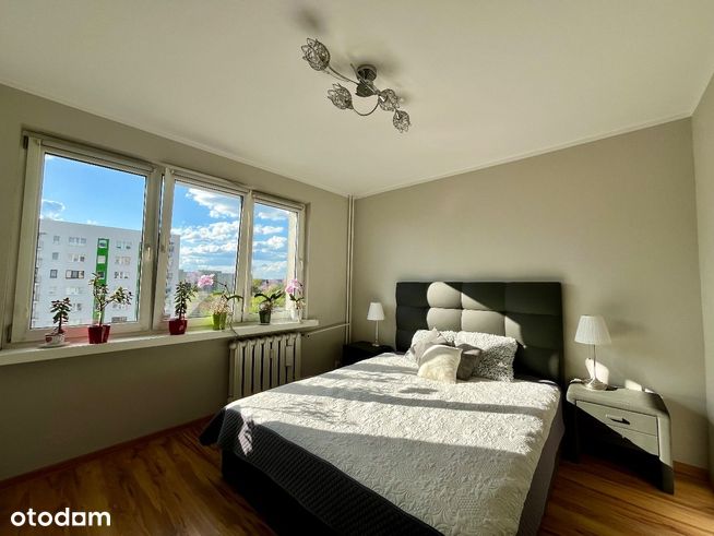 Komfortowe 50,5 m² z Balkonem – Spokojna Okolica