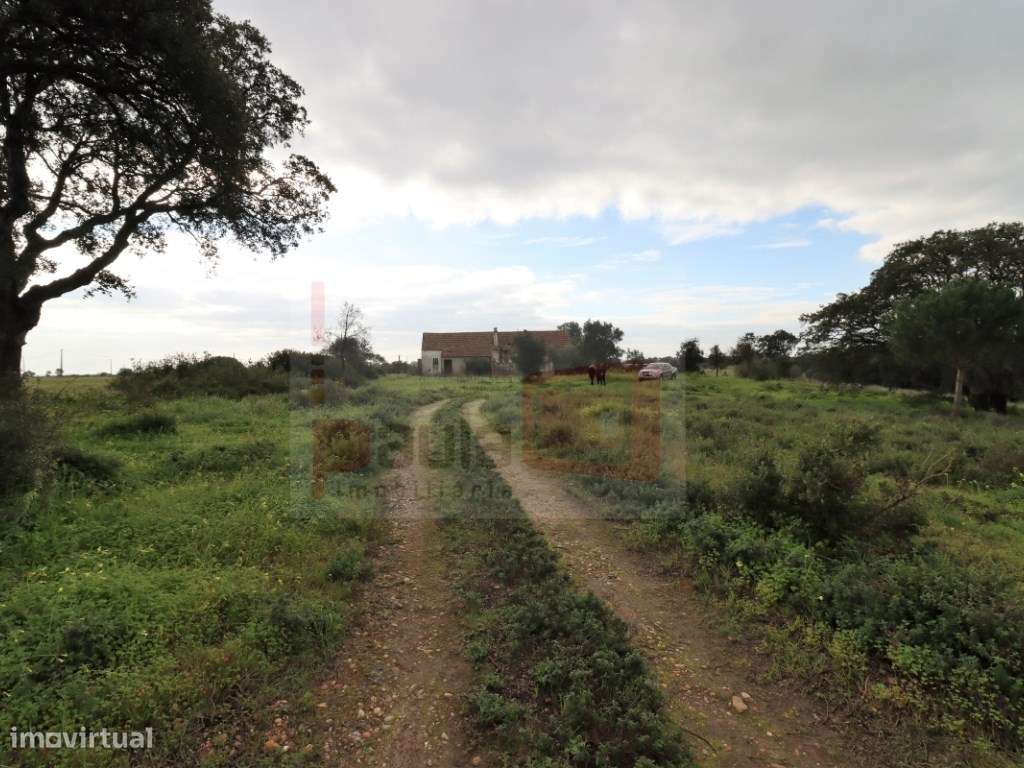 TERRENO COM 5.5HA ALCOCHETE-8