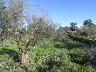 Lote de Terreno - Grande imagem: 2/31
