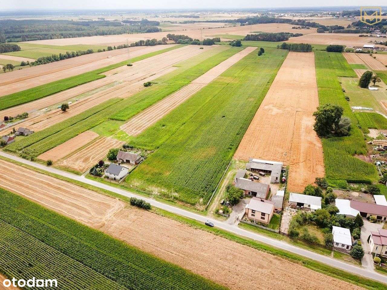 Działka z Wz pod budowę domu | Sadowie | 946 m2 - Pełny obrazek: 5/7