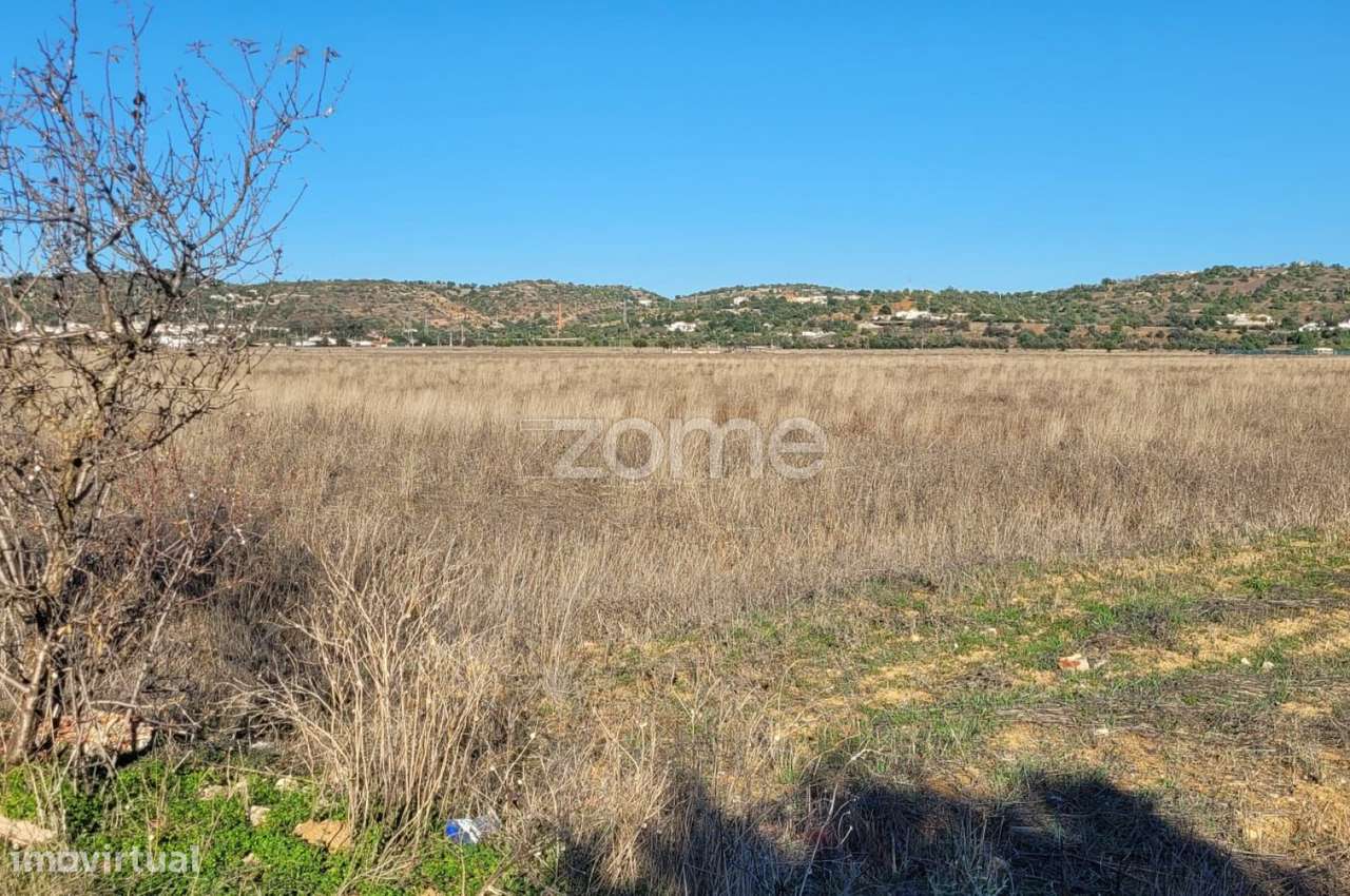 Terreno em Tunes - Grande imagem: 5/16