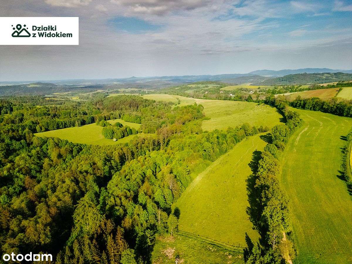Golejów - działka budowlana siedliskowa, perełka Pogórza Izerskiego - Pełny obrazek: 4/6