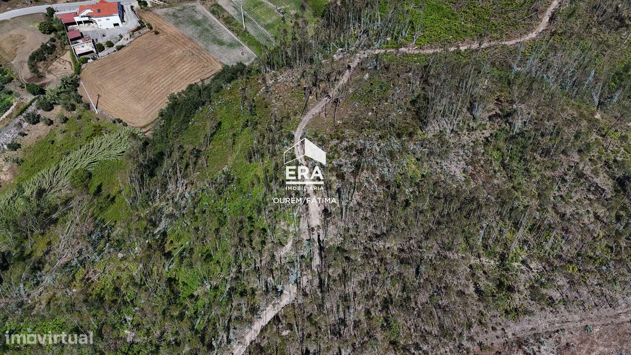 Terreno Florestal em Matas, Ourém-5