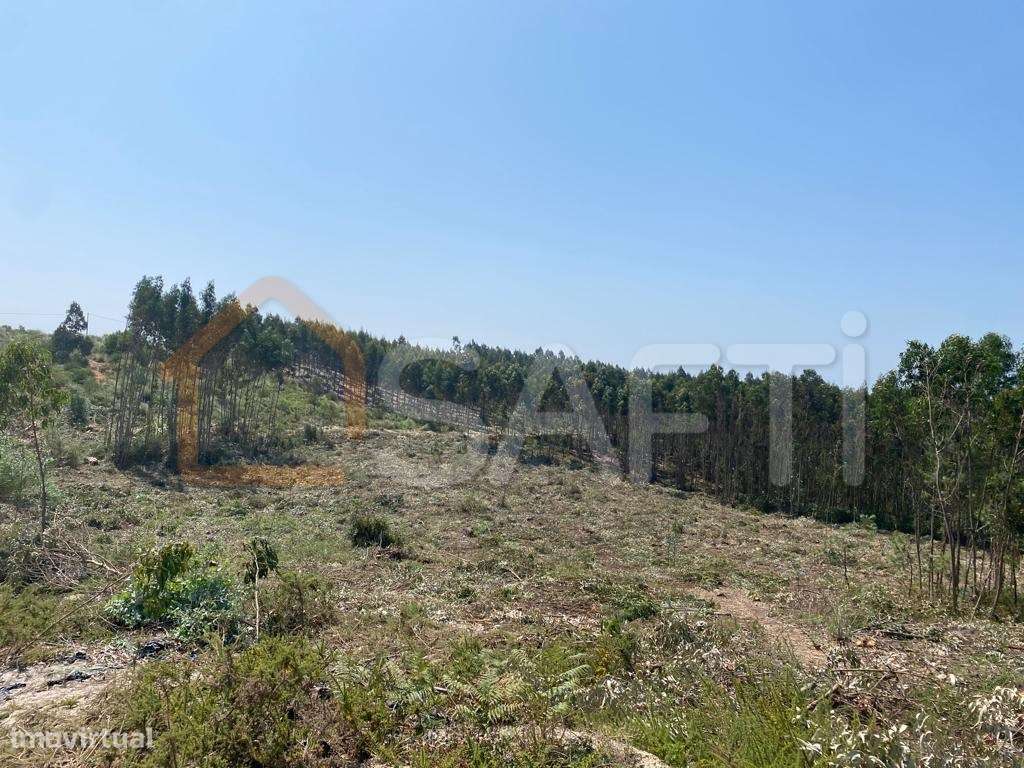 Terreno com aptidão Industrial à venda em Casal de Lobo, A Dos Cunh... - Grande imagem: 4/11