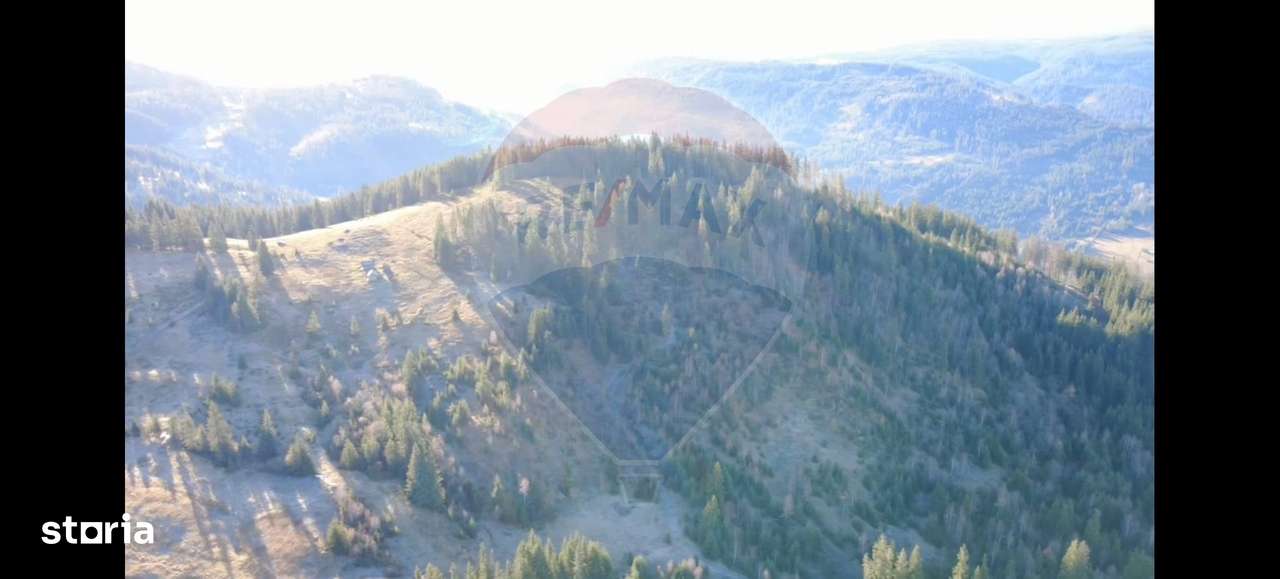 Teren 31,461mp Panaci / Prelungirea Ialovita-2