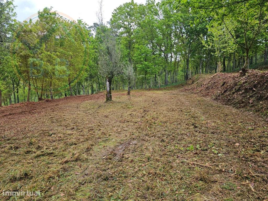 Quinta junto ao rio e área de lazer de Santa Senhorinha de Basto, C...-16